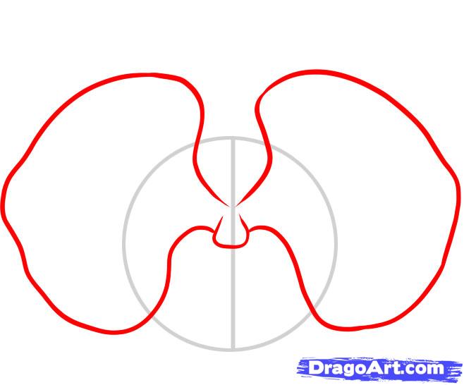 how-to-draw-an-orchid-step-2_1_000000046269_5