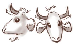 how-to-draw-cows-step-4_1_000000046651_3