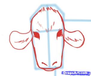 how-to-draw-cows-step-7_1_000000046657_5