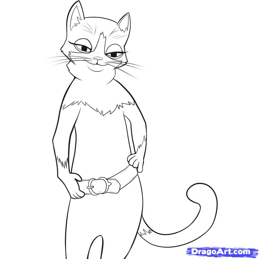 how-to-draw-kitty-kitty-softpaws-puss-in-boots-step-6_1_000000042961_5