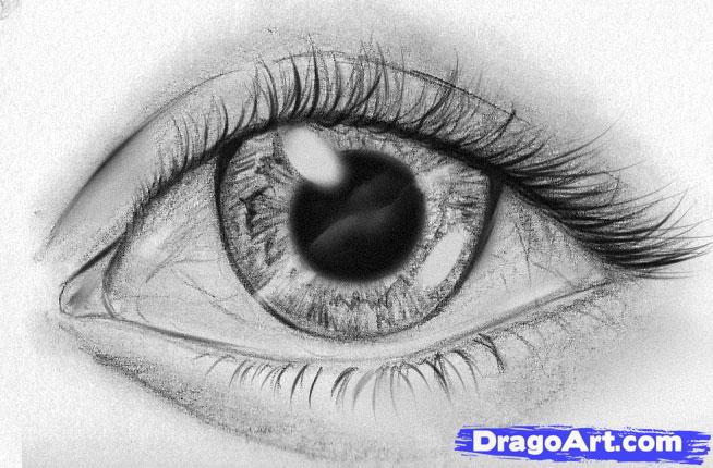 how-to-sketch-eyes-step-12_1_000000040563_5