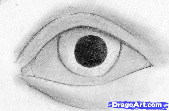how-to-sketch-eyes-step-8_1_000000040555_5